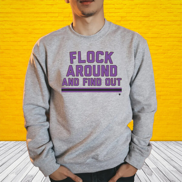 Baltimore Flock Around And Find Out Shirt