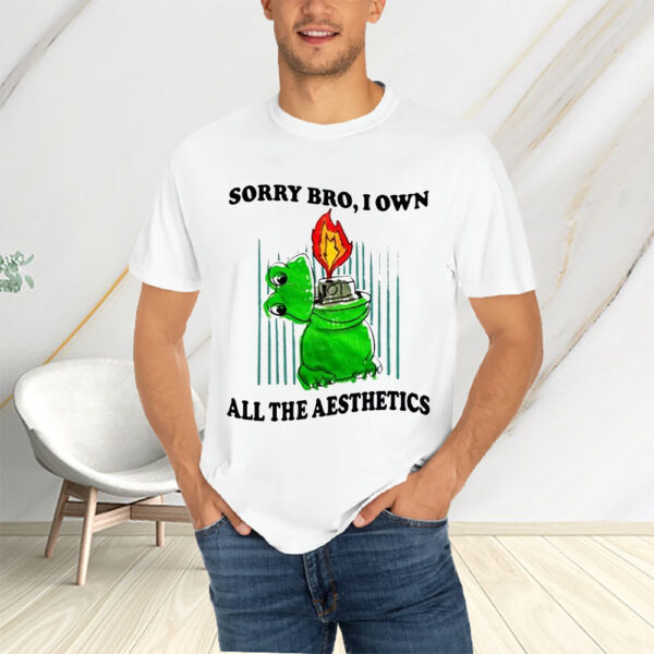 Sorry Bro I Own All The Aesthetics T-Shirts