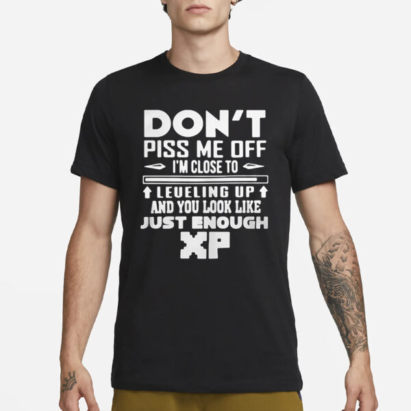 Don’t Piss Me Off I’m Close To Leveling Up And You Look Like Just Enough Xp T-Shirt1