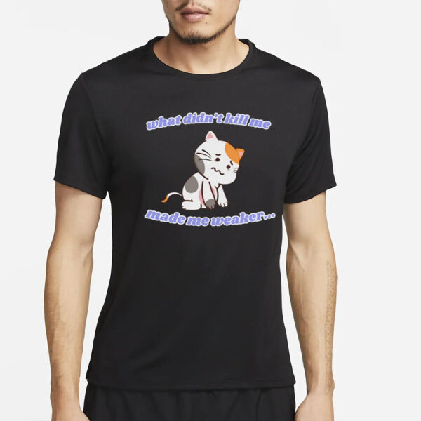 What Didn'T Kill Me Made Me Weaker T-Shirt4
