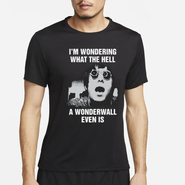 I'M Wondering What The Hell A Wonderwall Even Is T-Shirt2