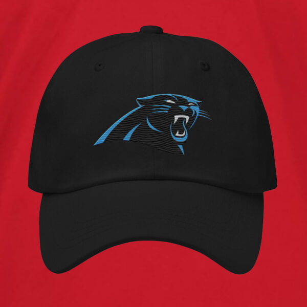 Panthers David Tepper Hat4