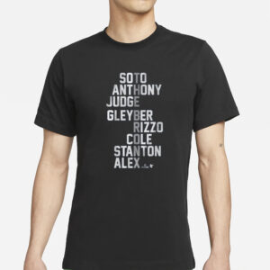 THE BRONX NAMES 2024 T-SHIRTS