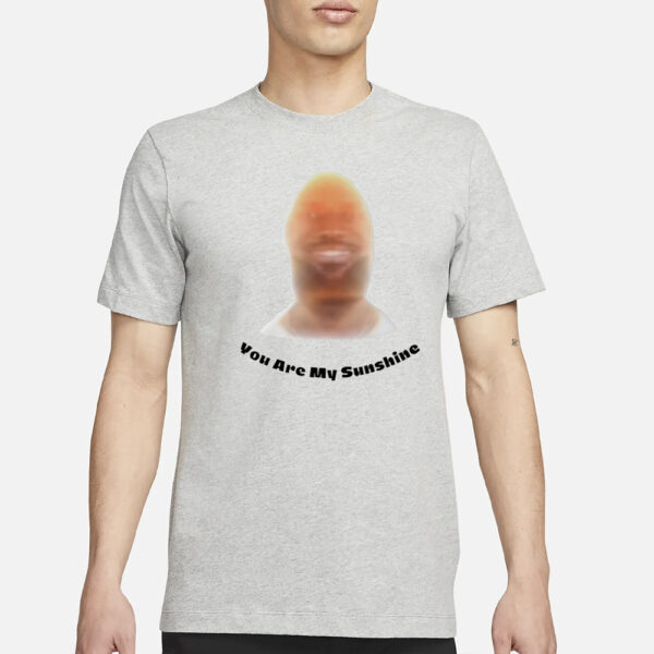 Lebron James Reacts To His Meme You Are My Sunshine T-Shirt1
