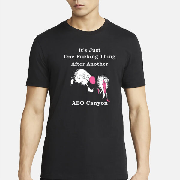 It’s Just One Fucking Thing After Another Abo Canyon T-Shirt6