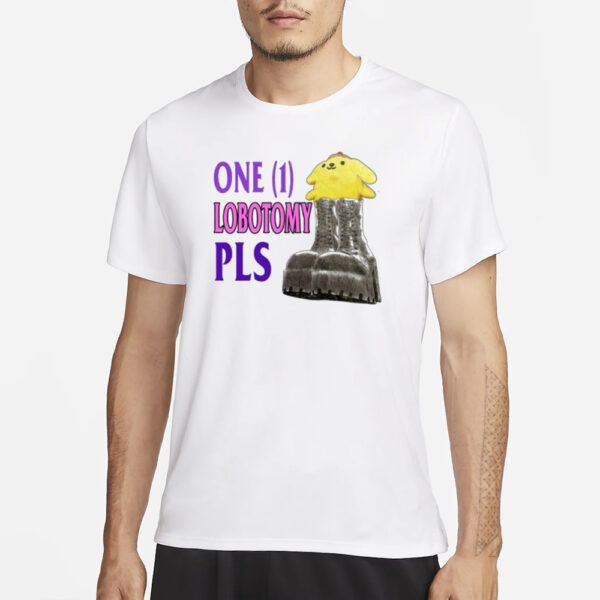 Jmcgg Pompompurin One 1 Lobotomy Pls T-Shirt3