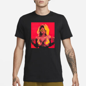 Megan Thee Stallion Hot Girl Summer Tour 2024 T-Shirt3